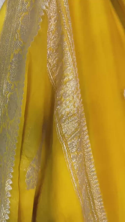 Mustard yellow Pure Khaddi Chiffon handloom Banarasi saree with tested  Silver zari weaving