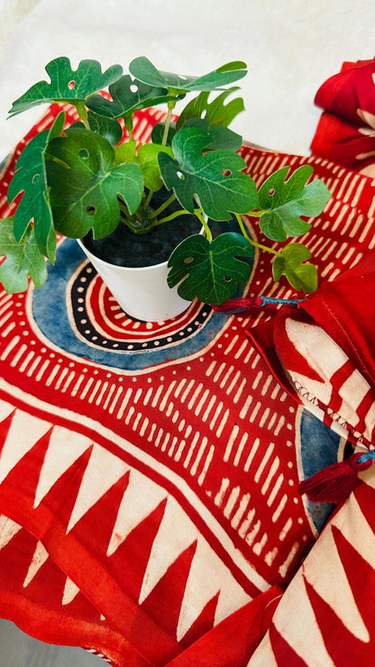 Red Stripe Ajrakh natural dye Hand block print pure Modal silk saree - My Store